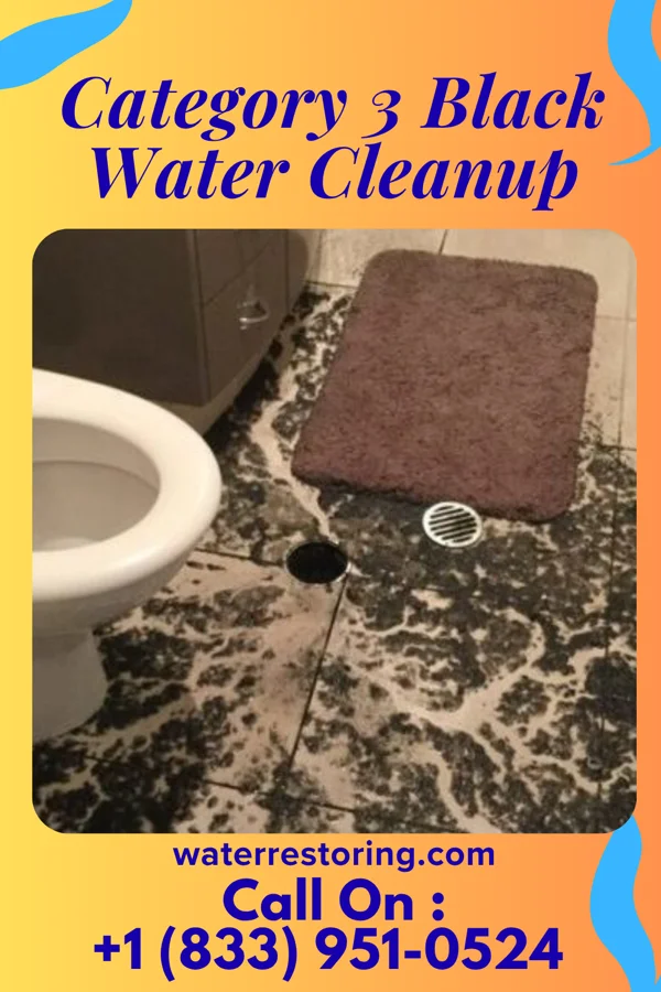 Category 3 Black Water Cleanup in Watts, OK