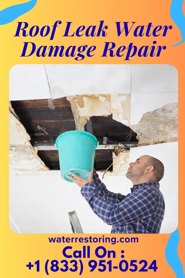 Roof Leak Water Damage Repair in Watts, OK
